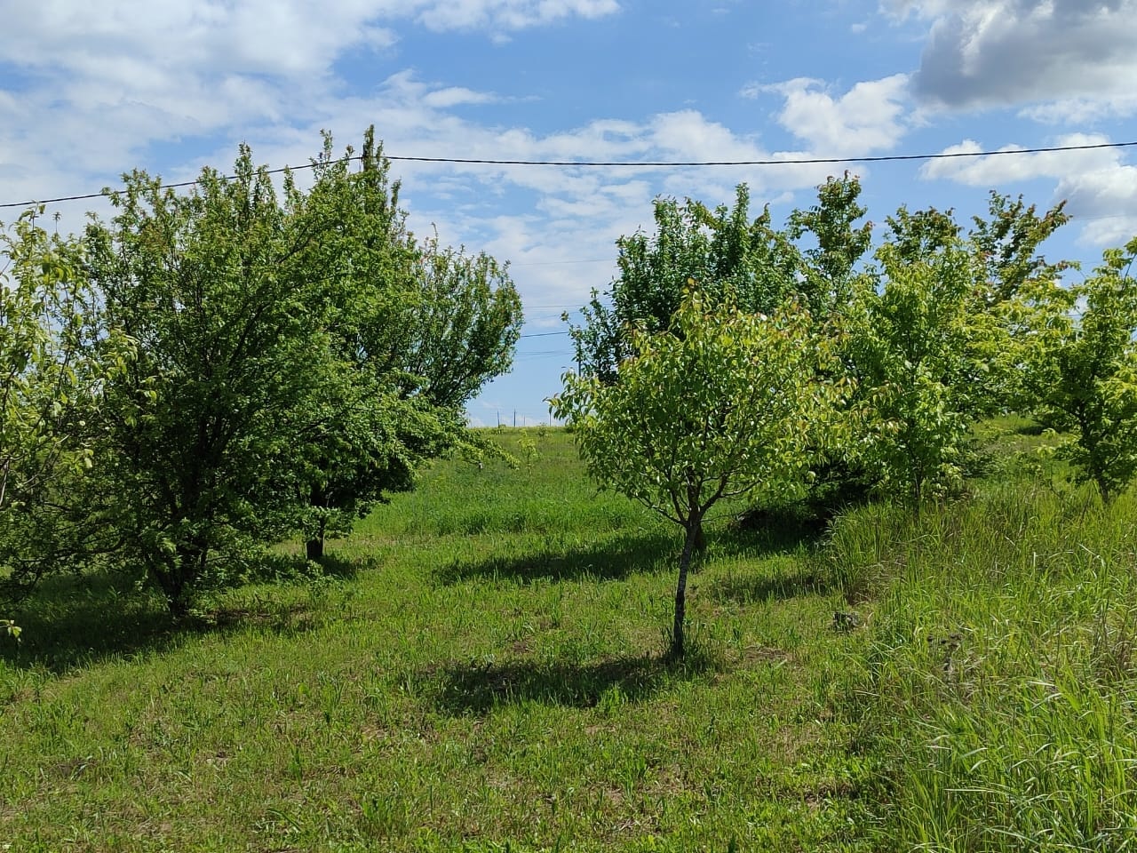 Продам земельный участок в пос. Юровка, легко переводится в ИЖС, кадастровый номер: 23:37:0502000:773 , общей площадью 6 соток. фасад 18 м. глубина участка 35 м. участок ровный, сухой, правильной формы. соседи рядом возводят капитальные дома. дорога грунтовая, до асфальта 600 м. соседи строятся. рас